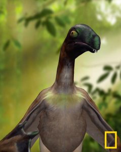 Yi qi National Geographic AR experience